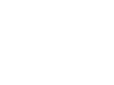 BM Executive